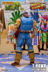T. Hawk 1:12 Scale Action Figure