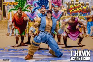 T. Hawk 1:12 Scale Action Figure
