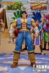 T. Hawk 1:12 Scale Action Figure