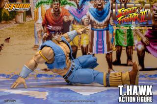 T. Hawk 1:12 Scale Action Figure