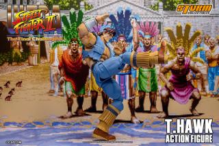 T. Hawk 1:12 Scale Action Figure