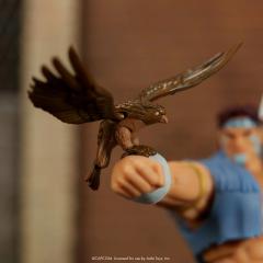 T. Hawk 6" Figure