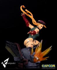 Cammy White 1/6 Scale Diorama