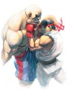 Ryu VS Sagat (Art Print)