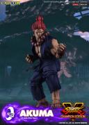 Akuma 1/6 Scale Figure