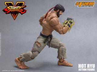 Hot Ryu 1:12 Scale Action Figure (exclusive)