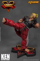 Ken 1:12 Scale Action Figure