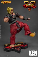 Ken 1:12 Scale Action Figure