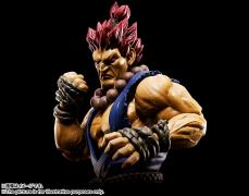 S.H.Figuarts Akuma