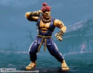 S.H.Figuarts Akuma