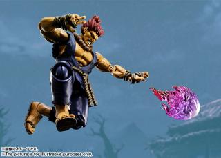 S.H.Figuarts Akuma