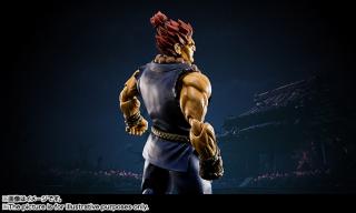 S.H.Figuarts Akuma