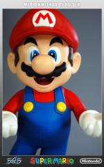 Mario Nintendo DS Holder