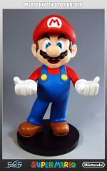 Mario Nintendo DS Holder