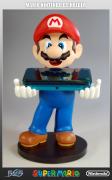 Mario Nintendo DS Holder