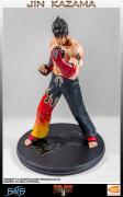Jin Kazama (T3 / exclusive)