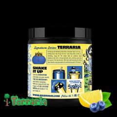 Blueberry King Slime Lemonade