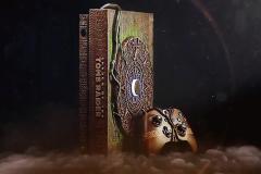 Shadow of the Tomb Raider Custom Xbox One X