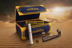 Incense Holder, Scarab Beetle Pin & Artwork