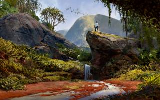 Madagascar Jungle (Art Print)