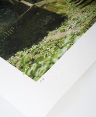 Tew's Porch (Art Print)