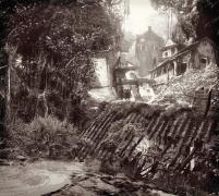 The Colony (Art Print)