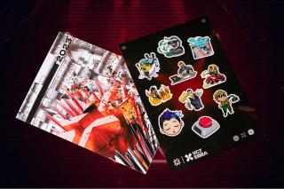 Valorant Champions Tour Swag Kit