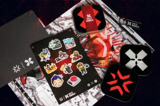 Valorant Champions Tour Swag Kit