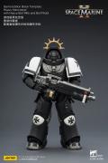 Black Templars Heavy Intercessor 1/18 Scale Figure
