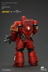 Blood Angels Veteran 1/18 Scale Figure
