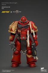Blood Angels Veteran 1/18 Scale Figure