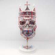 They live, We hack Mask