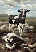 Prize Winning Cow (Art Print)