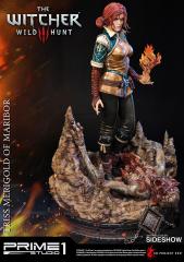 Triss Merigold of Maribor (exclusive)