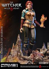 Triss Merigold of Maribor (exclusive)