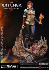 Triss Merigold of Maribor (exclusive)