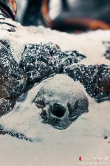 Wild Hunt 1/6 Scale Diorama (exclusive)