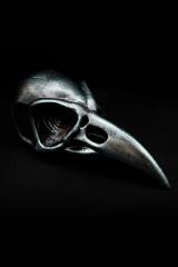 Yennefer's Crystal Raven Skull