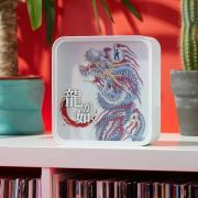 Yakuza Acrylic Perspex Desk Lamp